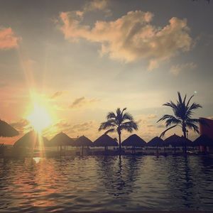 Meet your Posher, Paulette